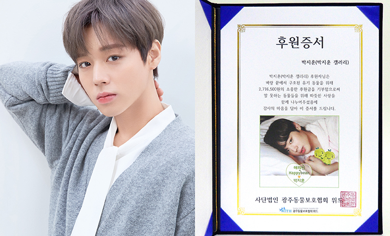 박지훈 팬들은 최근 네이버의 온라인 기부 서비스 ‘해피빈’을 통해 유기견 구조와 보호 활동에 힘쓰는 (사)광주동물보호협회 위드에 271만6500원을 기부했다. [사진=박지훈 갤러리 제공]