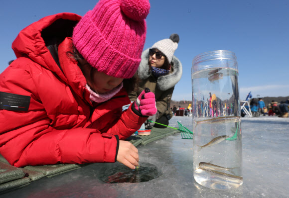대한민국 ‘원조 겨울축제’인 제19회 인제빙어축제 개막 첫 주말인 27일 빙어 얼음 낚시터를 찾은 관광객들이 얼음 구멍에 얼굴을 파묻은 낮은 자세로 빙어낚시 삼매경에 빠져 있다. 인제빙어축제는 내달 3일까지 이어진다. 2019.1.27  연합뉴스