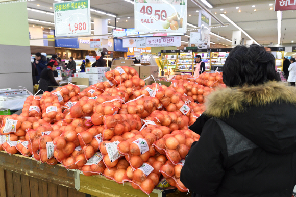 생산령 증가로 전년 대비 양파가격이 26.7%나 하락한 가운데 27일 오전 서울 양재동 하나로마트를 찾은 사람들이 양파를 고르고 있다. 2019.1.27  도준석 기자 pado@seoul.co.kr