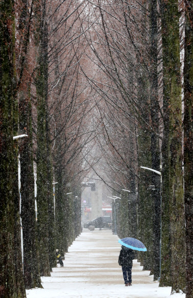 오랜만에 내리는 눈