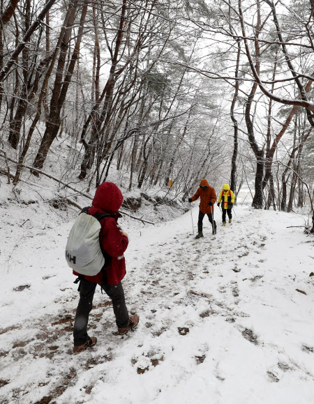 ‘하얀 세상이네’