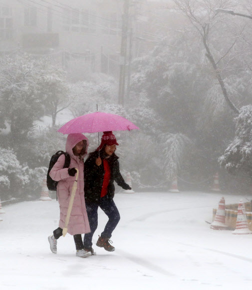 부산 첫눈