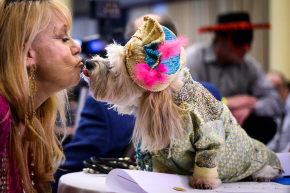 7일(현지시간) 미국 뉴욕에서 열린 ‘제16회 뉴욕 반려동물 패션쇼(New York Pet Fashion Show )’에서 화려한 의상을 걸친 반려견이 주인과 키스를 하고 있다. AFP 연합뉴스