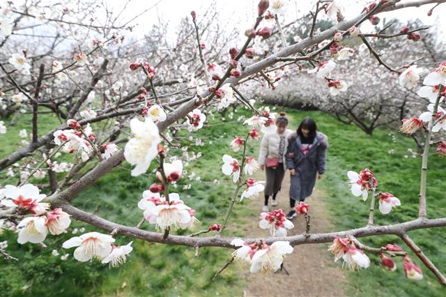 ‘봄의 길목에서’