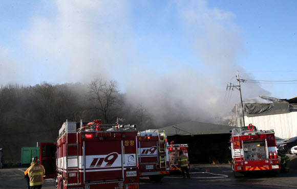 11일 오전 경기도 고양시 일산동구 성석동의 한 폐기물 재활용시설에서 불이 나 연기가 주변을 덮고  있다. 2019.2.11  연합뉴스