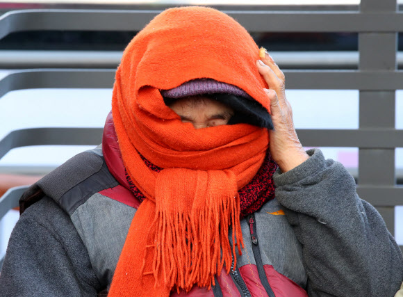 11일 오전 서울 동작구 동작경찰서 앞에서 열린 노량진 수산시장 구시장 상인들과 민주노점상전국연합 조합원들의 편파수사 규탄 집회에서 한 상인이 목도리로 얼굴을 감싸고 있다. 상인들은 이날 상인 1명과 민주노련 소속 회원 7명이 수협직원들과의 물리적 충돌과 관련해 경찰 수사를 받는 것과 관련해, 수협 용역측의 상인 폭력 문제에 대해선 경찰들이 함구하고 있다며 공정수사를 촉구했다. 2019.2.11  연합뉴스