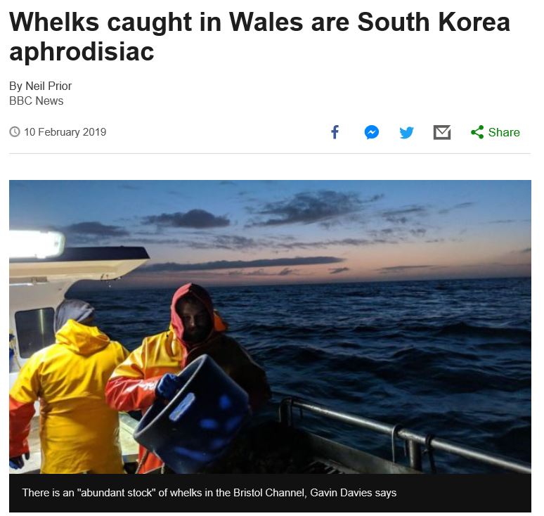 BBC 홈페이지 화면을 캡처했다. ‘웨일스에서 잡히는 골뱅이는 한국에서 최음제로’, 분명히 이렇게 돼 있다. 