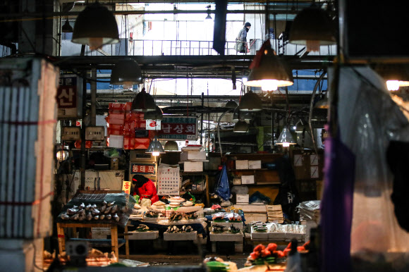 11일 서울 동작구 노량진 수산시장 구시장에서 일부 상인들이 영업을 이어나가고 있다. 8일 폐쇄됐던 구시장 차량 출입구 4곳 중 3곳은 통행이 일시 재개된 상태이며, 일부 상인들은 영업을 계속하고 있다. 2019.2.11  연합뉴스