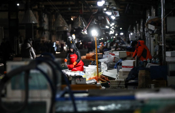 11일 서울 동작구 노량진 수산시장 구시장에서 일부 상인들이 영업을 이어나가고 있다. 8일 폐쇄됐던 구시장 차량 출입구 4곳 중 3곳은 통행이 일시 재개된 상태이며, 일부 상인들은 영업을 계속하고 있다. 2019.2.11  연합뉴스
