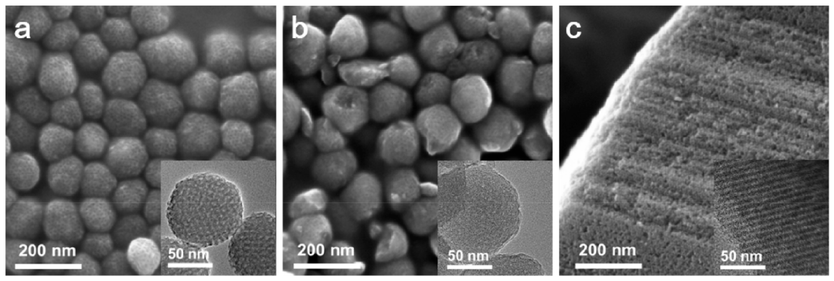 IBS 연구팀이 개발한 서로 다른 다공성 구조를 가진 연료전지촉매의 현미경 사진