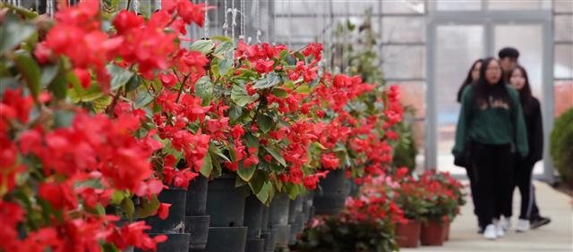 식물원은 이미 울긋불긋