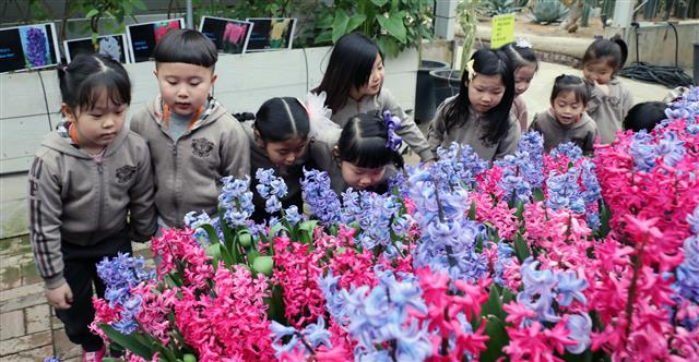 꽃 구경하는 어린이들