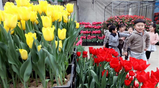 온실 속은 이미 봄