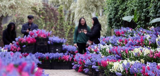 온실속에 먼저 찾아온 봄
