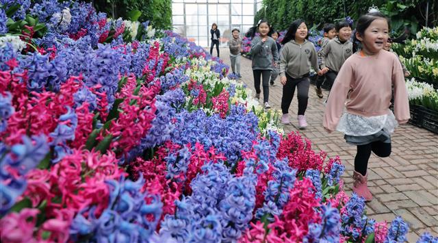 꽃 활짝 핀 식물원 ‘봄이 성큼’