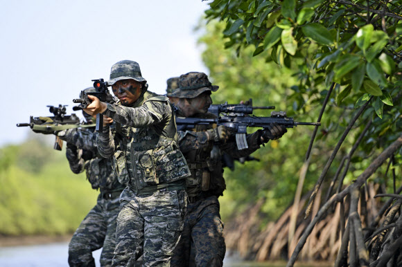 다국적 코브라골드훈련에 참가 중인 한국 해병대 수색대 장병들이 16일 태국 로타윈 정글에서 수색정찰훈련을 실시하고 있다.   2019.2.16  해병대사령부 제공