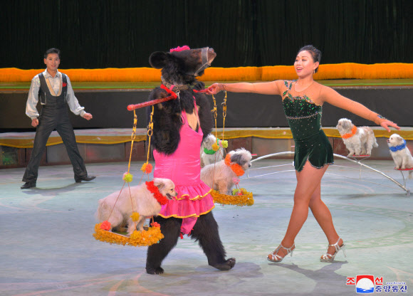 북한 김정일 생일 맞아 열린 문화행사