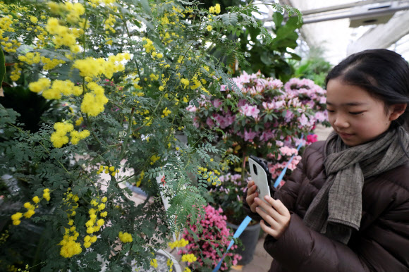 ‘성큼 봄이 왔어요’