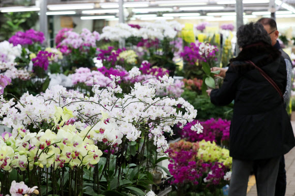 향기로운 꽃시장