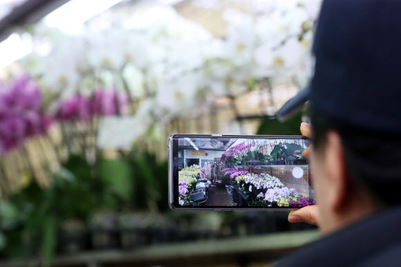 성큼 다가온 봄