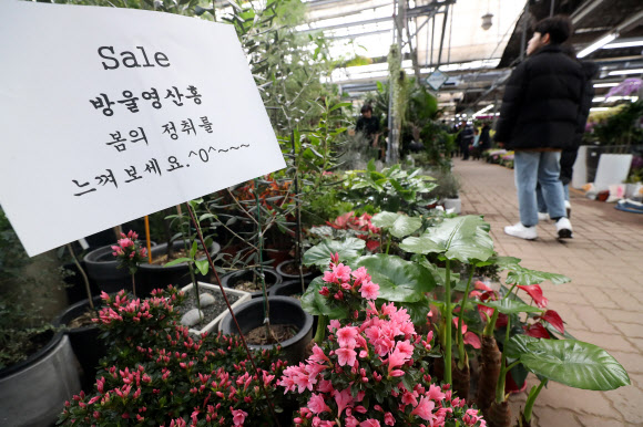 ‘꽃으로 느끼는 봄의 정취’