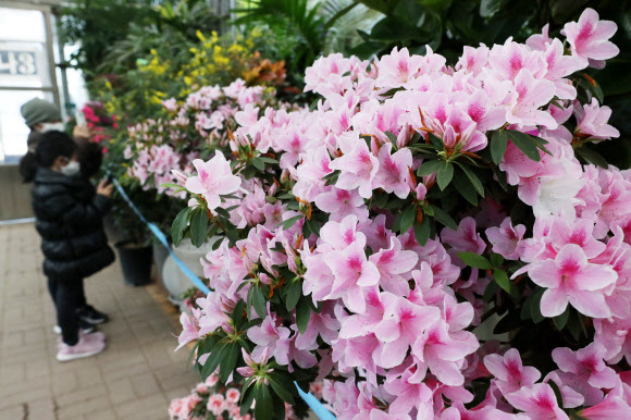 향기로운 꽃밭에서