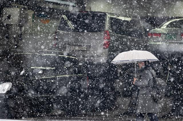 펑펑 눈이 옵니다