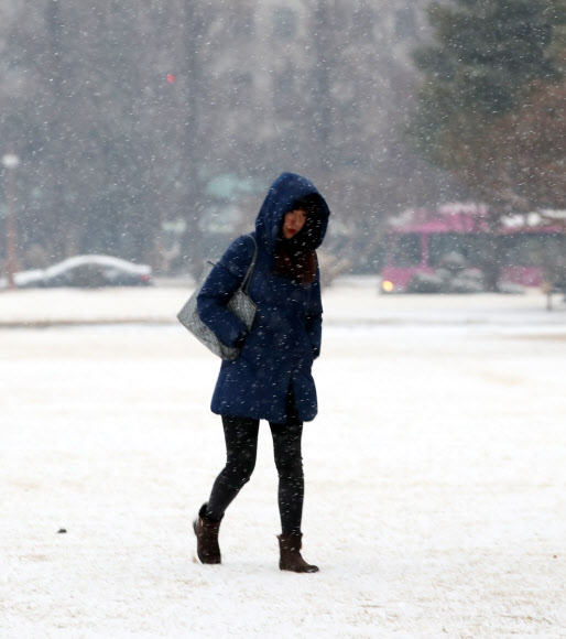 절기상 우수(雨水)이자 정월대보름인 19일 오전 서울 여의도 국회에서 직원이 눈이 맞으며 출근하고 있다. 2019.2.19  연합뉴스