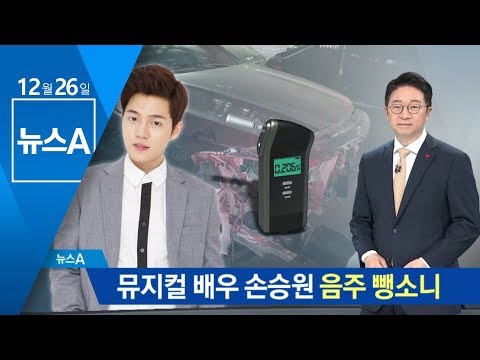 윤창호법 1호 연예인, 손승원  