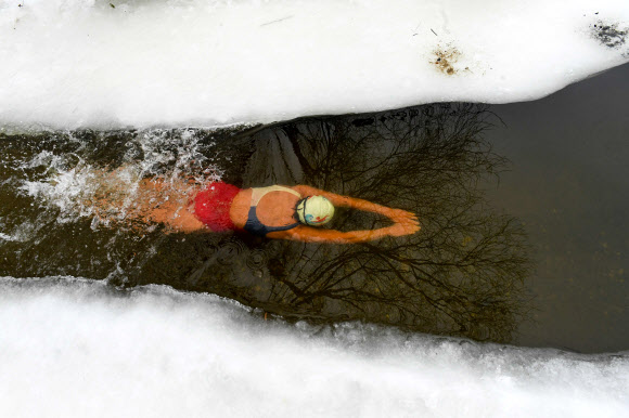 모스크바 얼음 수영 클럽 ‘Walruses of the Capital’ 회원이 26일(현지시간) 러시아 모스크바강의 얼음물에서 수영을 하고 있다. AFP 연합뉴스