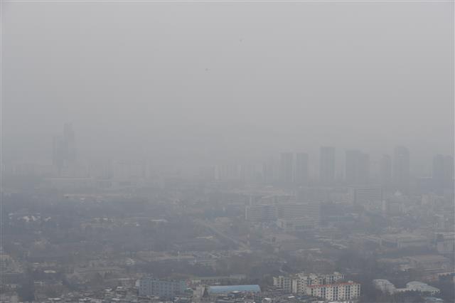 ‘답답한 시야’