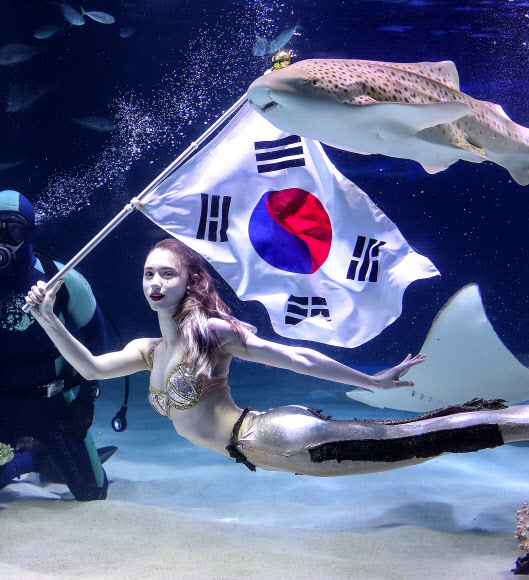 인어가 펼치는 3.1 독립운동 100주년 태극기 퍼포먼스