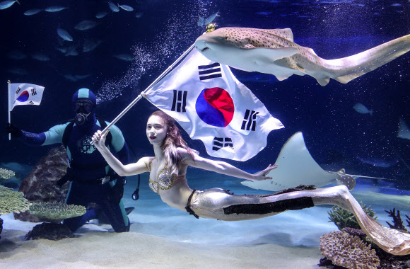 인어가 펼치는 3.1 독립운동 100주년 태극기 퍼포먼스