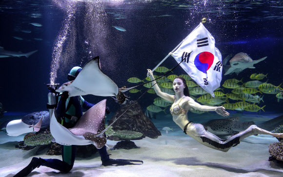 3.1 독립운동 100주년 ‘인어’도 축하합니다