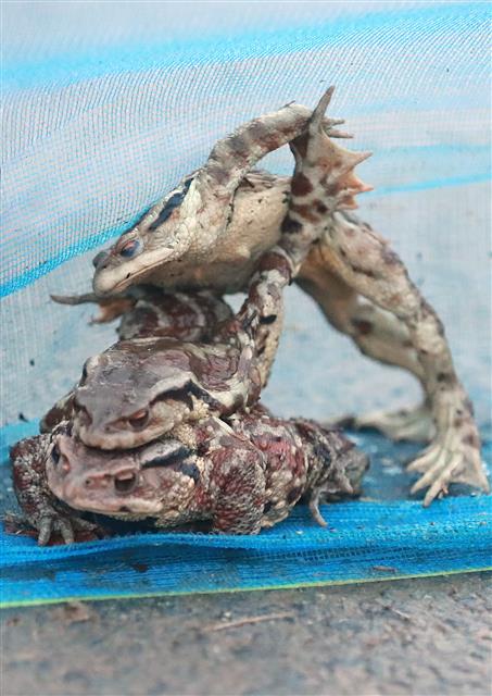 발차기 맛 좀 봐라