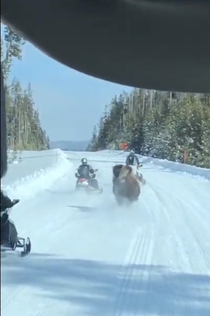 ‘내 영역에서 나가!’