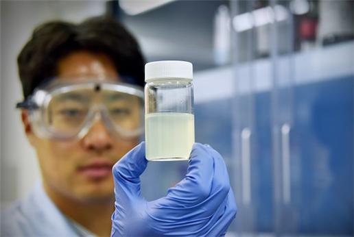 연구진이 이번에 개발한 페놀류 검출 고감도 촉매<br>한국기초과학지원연구원 제공