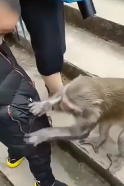 ‘먹을 거 없어?’