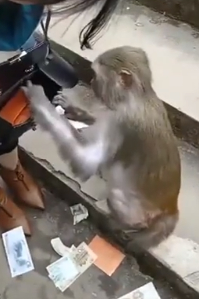 ‘먹을 거 없어?’