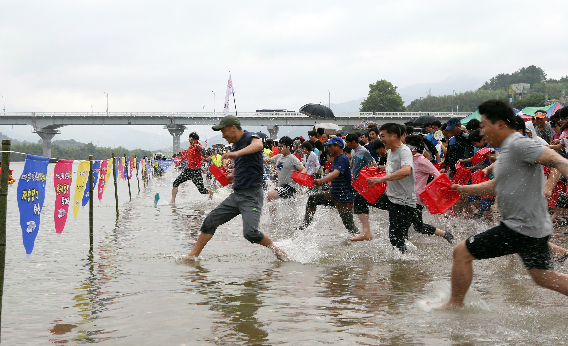 하동 섬진강문화재첩축제