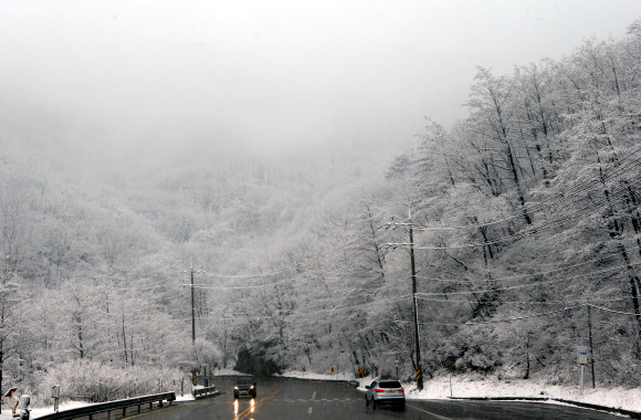 설국으로 변한 대관령