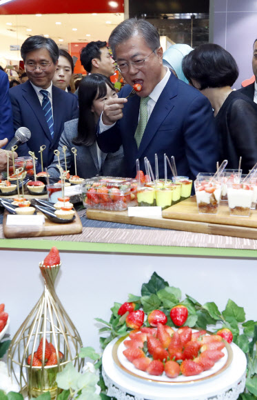 문 대통령, ‘한국산 딸기 맛있어요’