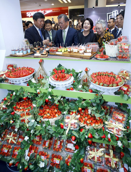 문 대통령, ‘한류 타고 한국산 딸기도’