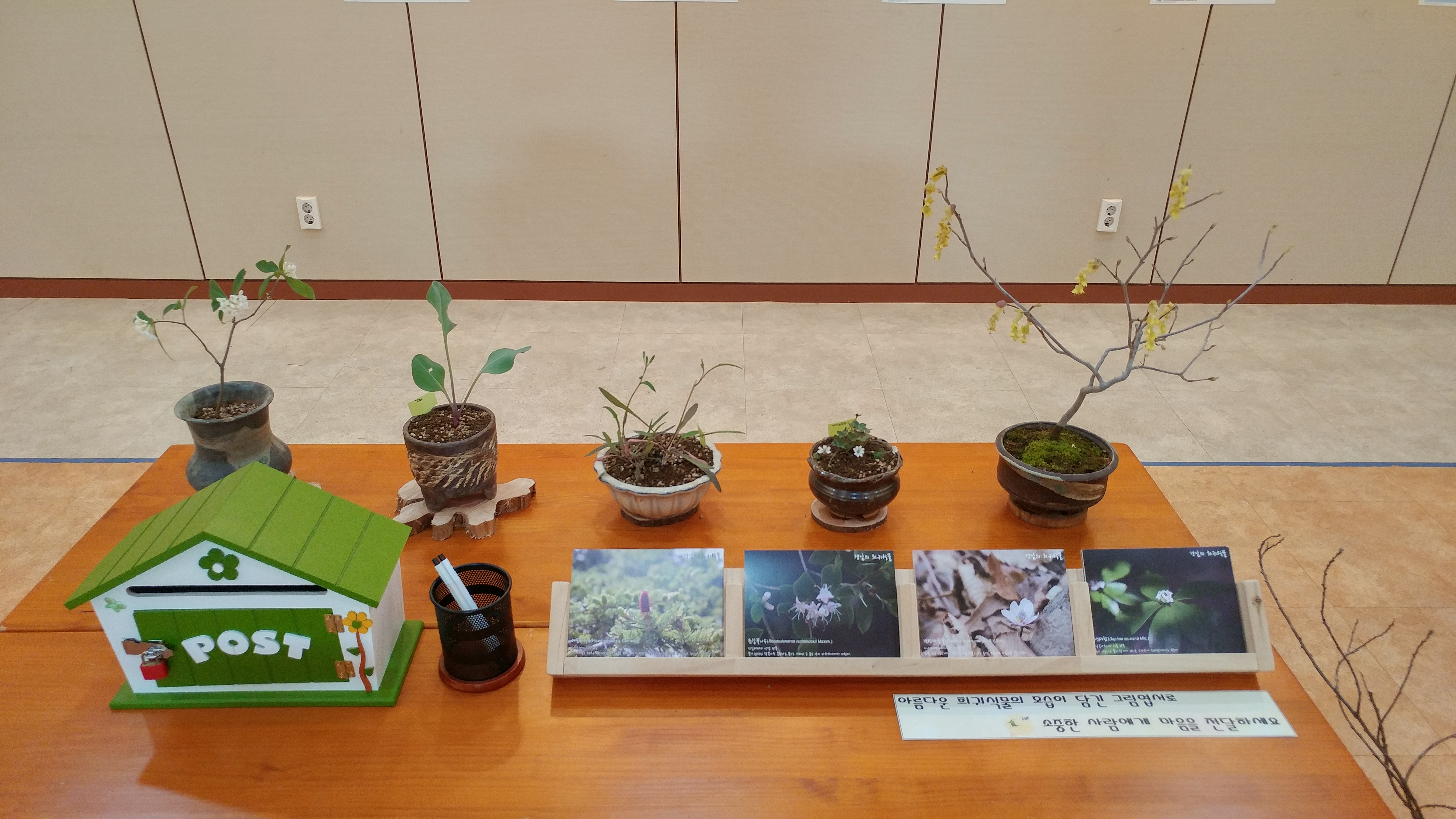 경남수목원 희귀 특산식물 특별전  