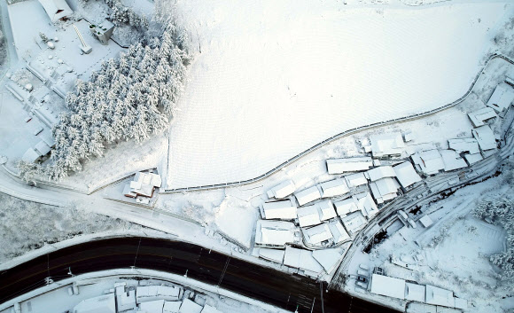 16일 강원 태백시와 삼척시를 잇는 해발 772? 통리재가 설국으로 변했다. 2019.3.16  연리지미디어협동조합 제공