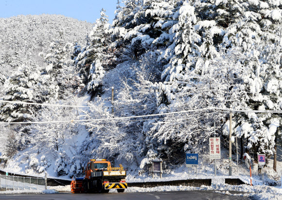 16일 강원 태백지역에 봄을 시샘하는 많은 눈이 내렸다. 2019.3.16  연합뉴스