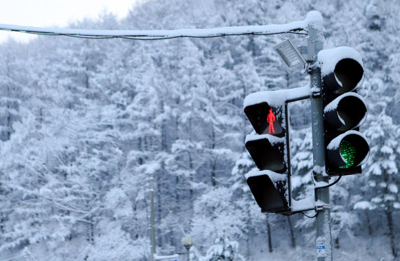 16일 강원 태백지역에 봄을 시샘하는 많은 눈이 내렸다. 2019.3.16  연합뉴스