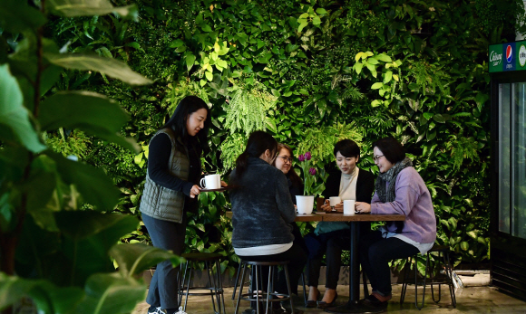 서울식물원 안에 있는 ‘숲속카페’는 일반적인 카페와 달리 벽면과 테이블 주변 곳곳이 식물로 가득하다.