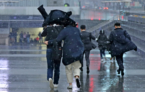 갑자기 겨울로 돌아간 봄날