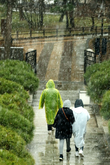 꽃샘추위와 요란한 눈비